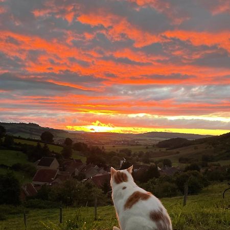 La Petite Maison Dans La Campagne Massingy-lès-Vitteaux エクステリア 写真