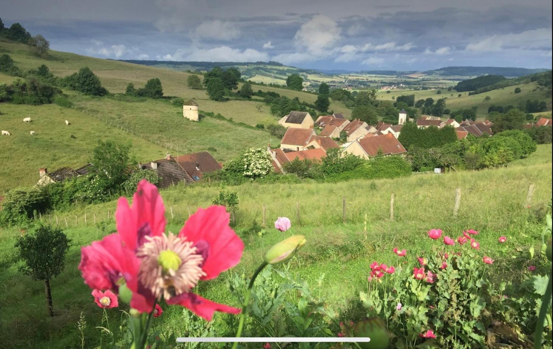 La Petite Maison Dans La Campagne Massingy-lès-Vitteaux エクステリア 写真